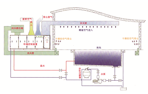 瀚宇水處理：如果做好這些，奧運泳池怎么會(huì )“綠”?