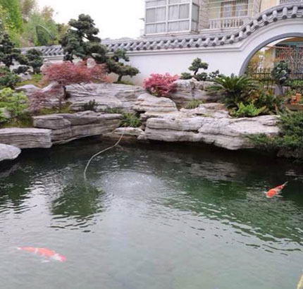 景觀(guān)水處理設備
